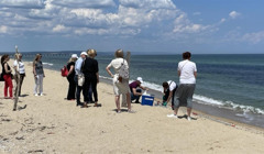 В Болгарії перевірили чистоту води Чорного моря: чи є наслідки після підриву Каховської ГЕС