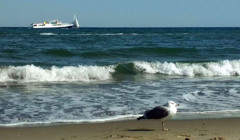 Погода в Одессе: климат, температура воздуха и воды в море