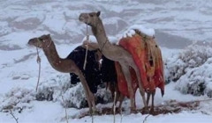 Бывает ли снег в Египте?