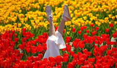 Квітковий туризм 2026. П'ять найкращих місць у світі для подорожей