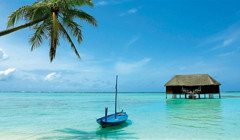 Відпочинок на Шрі-Ланці. Що варто знати українцям, плануючи подорож