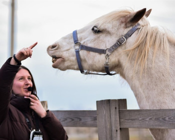 Ребцентр в одному з найменших сіл України: як ветеранська ферма біля Дніпра відновлює бійців