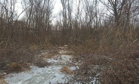 У лісосмузі поблизу Оборотнівки знайшли тіло чоловіка