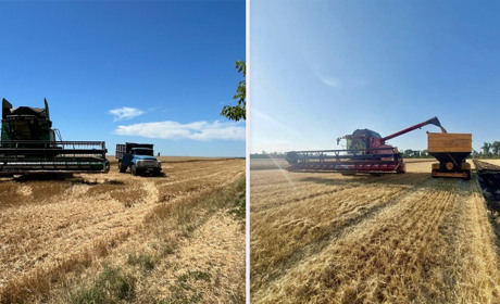 Жнива на Білопільщині: в поле вийшли працівники ППФ «Агрохімпромцентр» і ТОВ "Білопілля Агро"