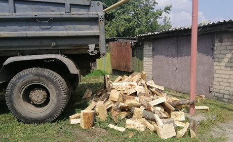 Ліквідовані у місті дерева йдуть на корисну справу