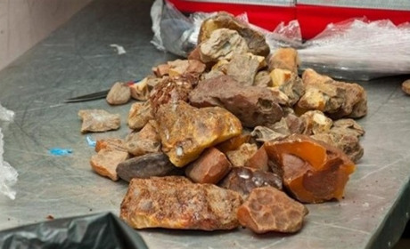 Придбали бурштину на майже 3 мільйони — учасників злочинного угруповання з Сарненщини судитимуть