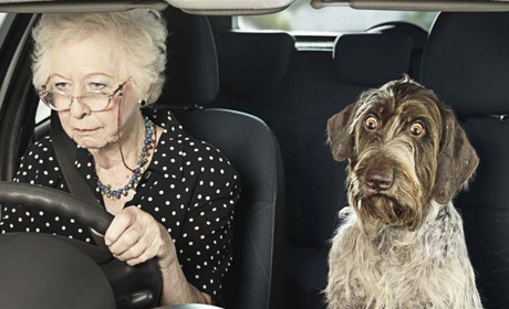 Хочу сісти за кермо, але боюся. Поради жителям Білопільщини, як подолати свій страх