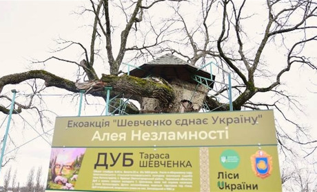 На Черкащині заклали Алею Незламності