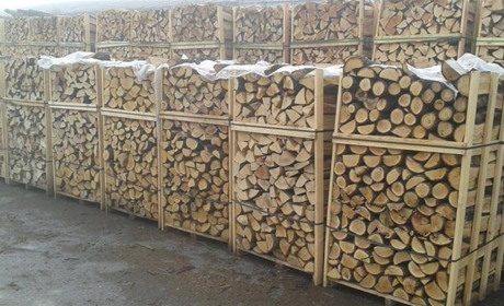 Хто має право отримати безкоштовні дрова: куди звертатись у Білопіллі?