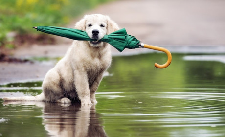 Ховайте шорти і діставайте штани та парасольки: найближчими днями очікуємо дощів