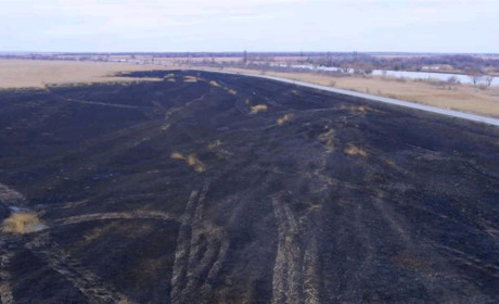 Згоріло на 440 000 гривень. Нижньодністровський нацпарк порахував збитки від пожежі