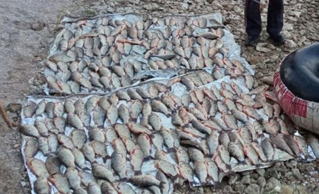 Чоловік у Каховському водосховищі незаконно наловив 300 карасів. Каже, що не знав про заборону