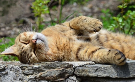 Погода у Старокостянтинові на 24-30 червня: спеки не буде