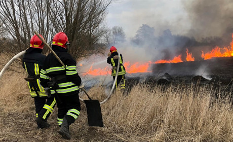 Минулого тижня рятувальники Уманщини майже 30 разів боролись із вогнем через загоряння сухої трави