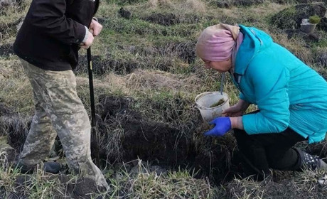 Підсумки сезону: Студениківська громада висадила понад 17 гектарів лісу, створила й нову лісосмугу