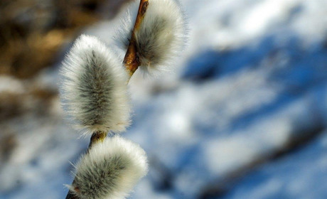 Погода у Старокостянтинові на 26 лютого - 3 березня: морозів не прогнозують