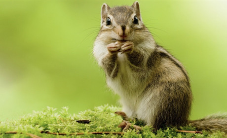 Білопільщина зустріне понеділок із теплом. Прогноз погоди на початок тижня