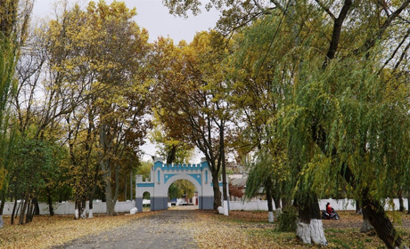 Де б у Біляївці могло з'явитися кафе: зібрали базу можливостей з контактами та інформацією