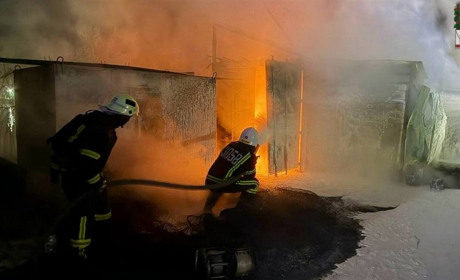 Через атаку шахедів на Ізмаїльський район постраждав Дунайський біосферний заповідник