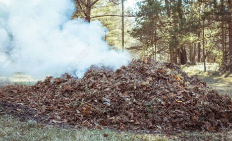 Чим шкідливе спалювання опалого листя та сухої трави: пояснюють медики