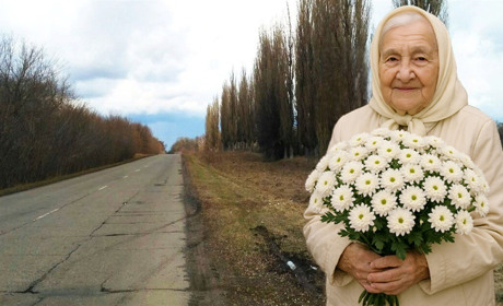 Білі хризантеми