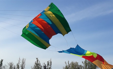 Кайтфлаєри з Миколаєва організовують онлайн-трансляцію польотів повітряних зміїв у Трихатах
