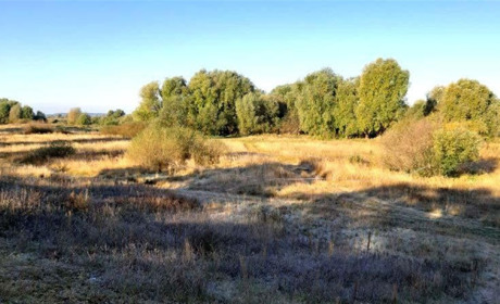У Вараші чоловік до смерті побив жінку з села Балаховичі