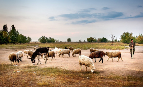 "Человек в беде" проведет тренинги по сельскому хозяйству