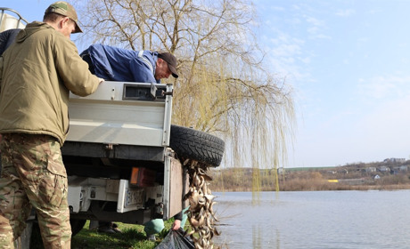 У Городку зарибили ставок: випустили 220 кг карася