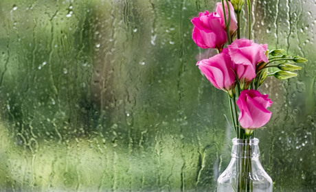 Невеликі дощі та до +11 градусів: погода на вихідні на Сумщині та в Україні