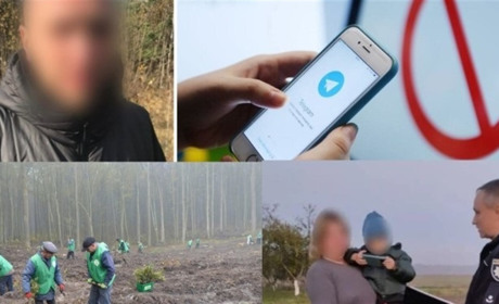 У сусідів: пошуки дитини, ліс пам'яті, крадіжка телевізора у готелі та кому заборонили Telegram,