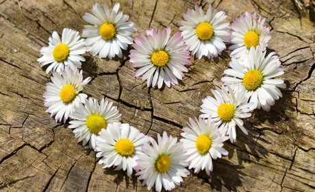 Якою буде погода у Сватівському районі з 7 по 13 червня 2021: прогноз на тиждень