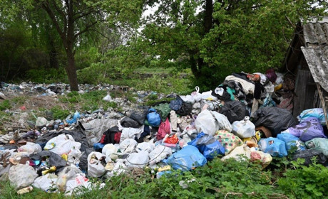На Звягельщині жінка зробила на своєму подвір’ї сміттєзвалище – його ліквідували силами міськради
