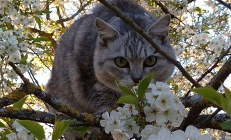 Погода у Старокостянтинові на 1-7 квітня: дошкулятиме вітер, очікується зниження температури