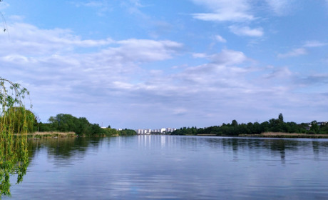 Три водойми Умані не відповідають гігієнічним нормативам за мікробіологічними показниками