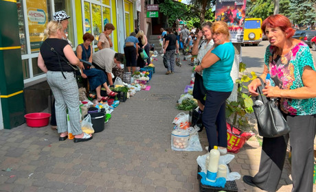 «Дешева рибка – погана юшка»