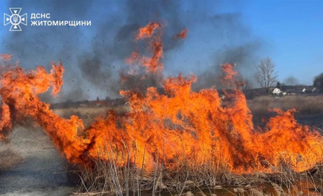 Житель Звягельщини отримав опіки, намагаючись загасити траву