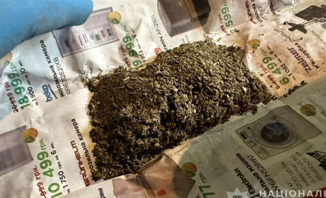 У Білопіллі поліцейські виявили незаконний посів нарковмісних рослин