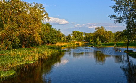 Гра: чи знають сватівчани, яка риба водиться у місцевих водоймах
