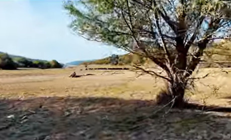 Внаслідок теракту на Каховській ГЕС на Херсонщині міліють озера