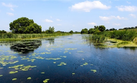 Річки Сумщини міліють. Права водокористувачів можуть обмежити