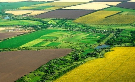 Як жителям Городоччини отримати землю. Покрокова інструкція