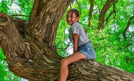 На Фастівщині дівчина хотіла зістрибнути з дерева: підлітка вдалось врятувати  