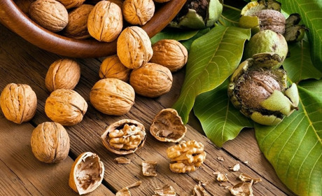 Рятівний волоський горіх: чому варто додати його у щоденний раціон