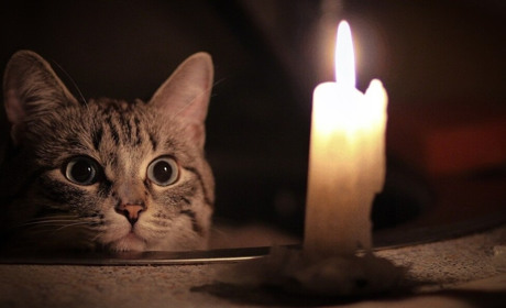 Графік відключень електроенергії у Нетішині на 2 грудня