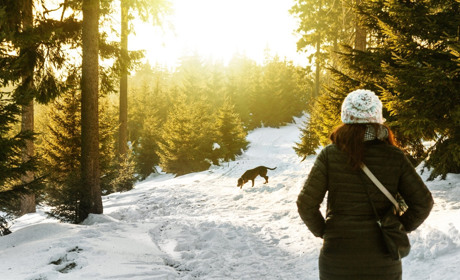 Фотопідбірка: топ-10 фотографій першого снігу