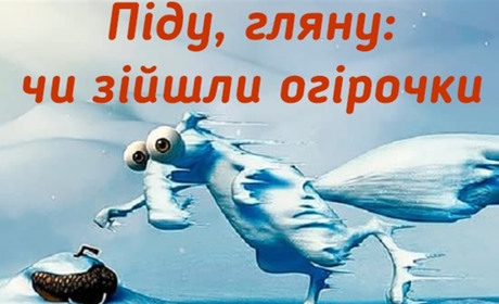 Дощ і дощі всередині дощу: добірка мемів про погоду із соцмереж