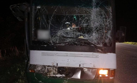 ДТП на Звягельщині: вночі на дорозі зіткнулися автобус з вантажівкою