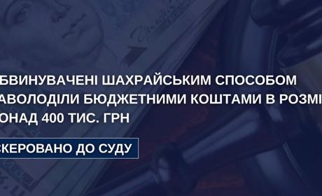 Викрито шахрайство із коштами програми «Муніципальна няня» на Шепетівщині