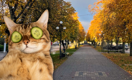 Топ місць для молоді: куди піти і чим зайнятися в Сарнах